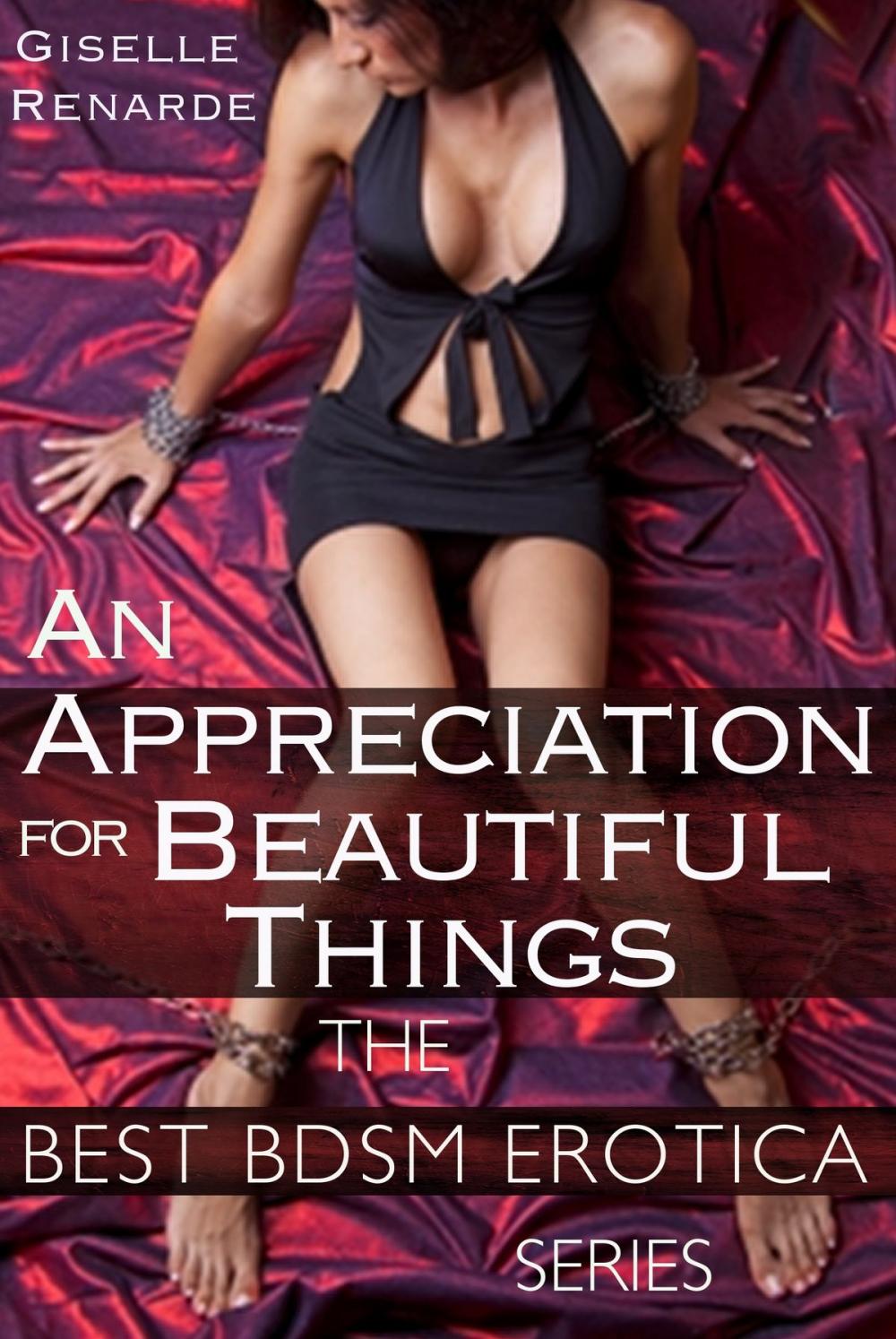 Big bigCover of An Appreciation for Beautiful Things