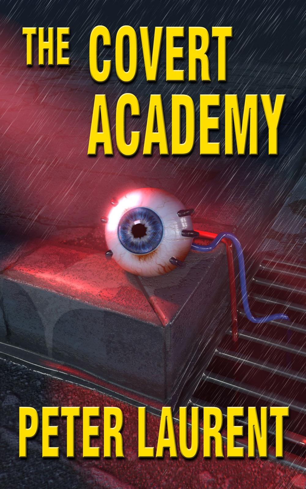 Big bigCover of The Covert Academy