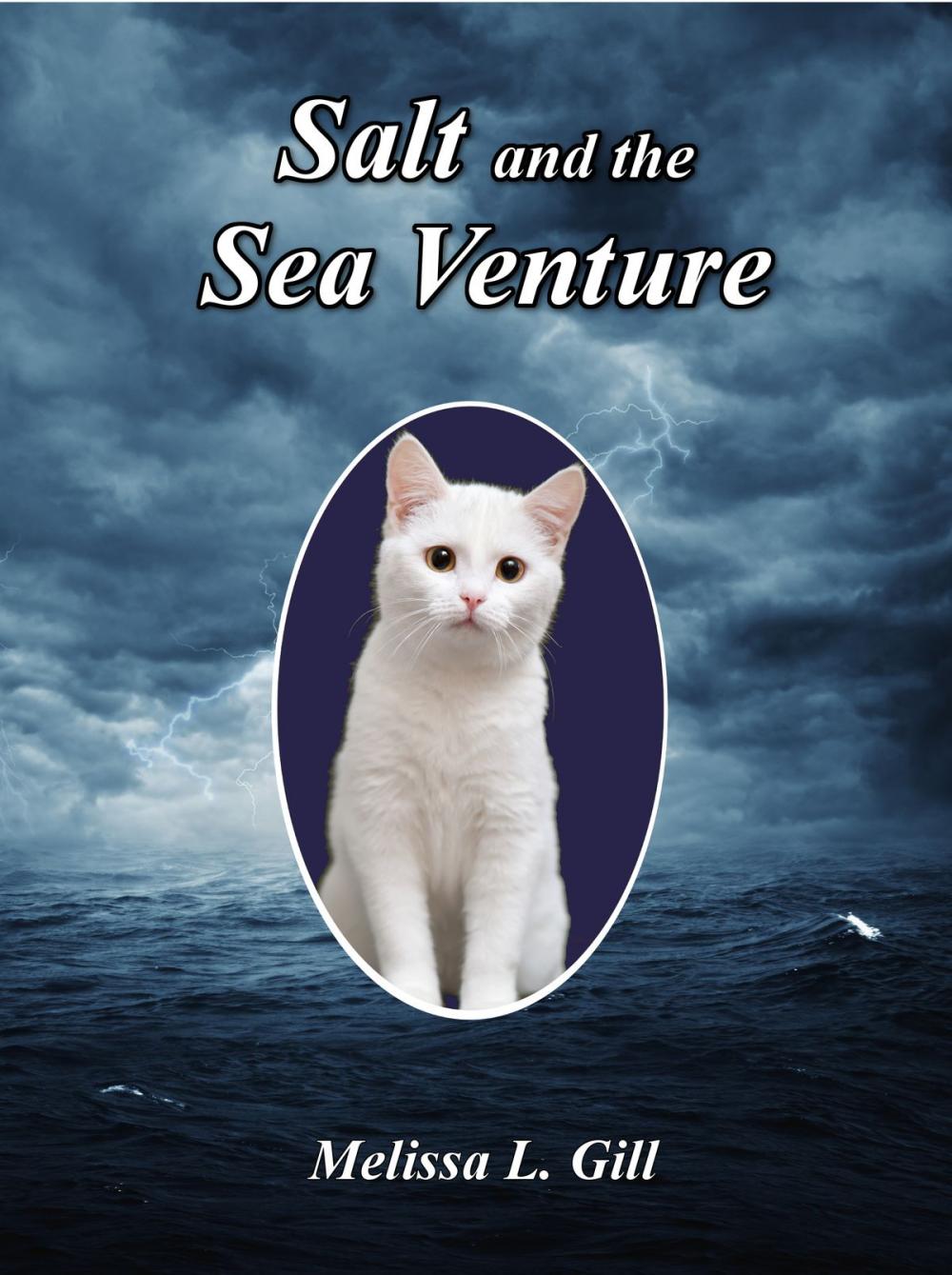 Big bigCover of Salt and the Sea Venture