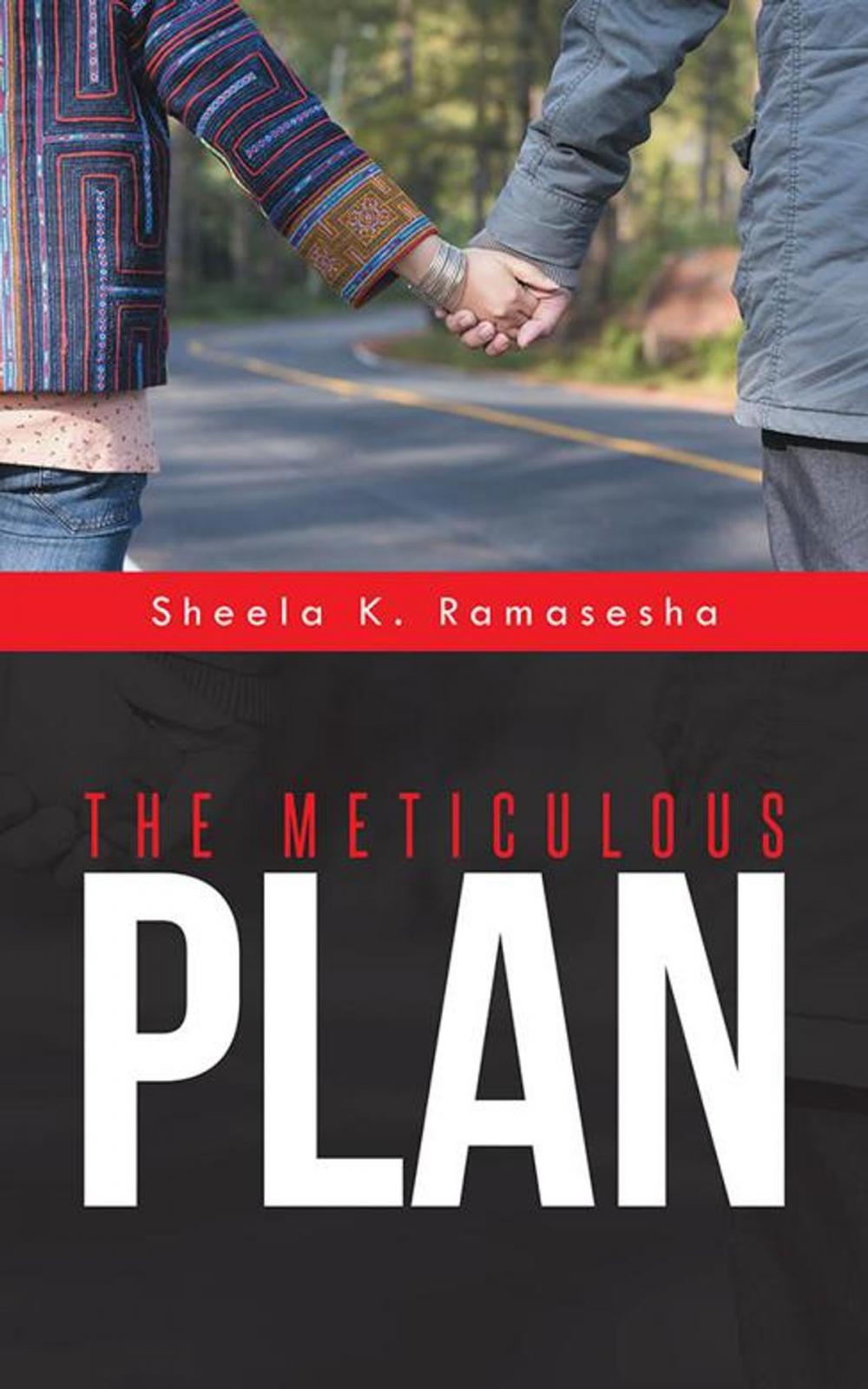 Big bigCover of The Meticulous Plan