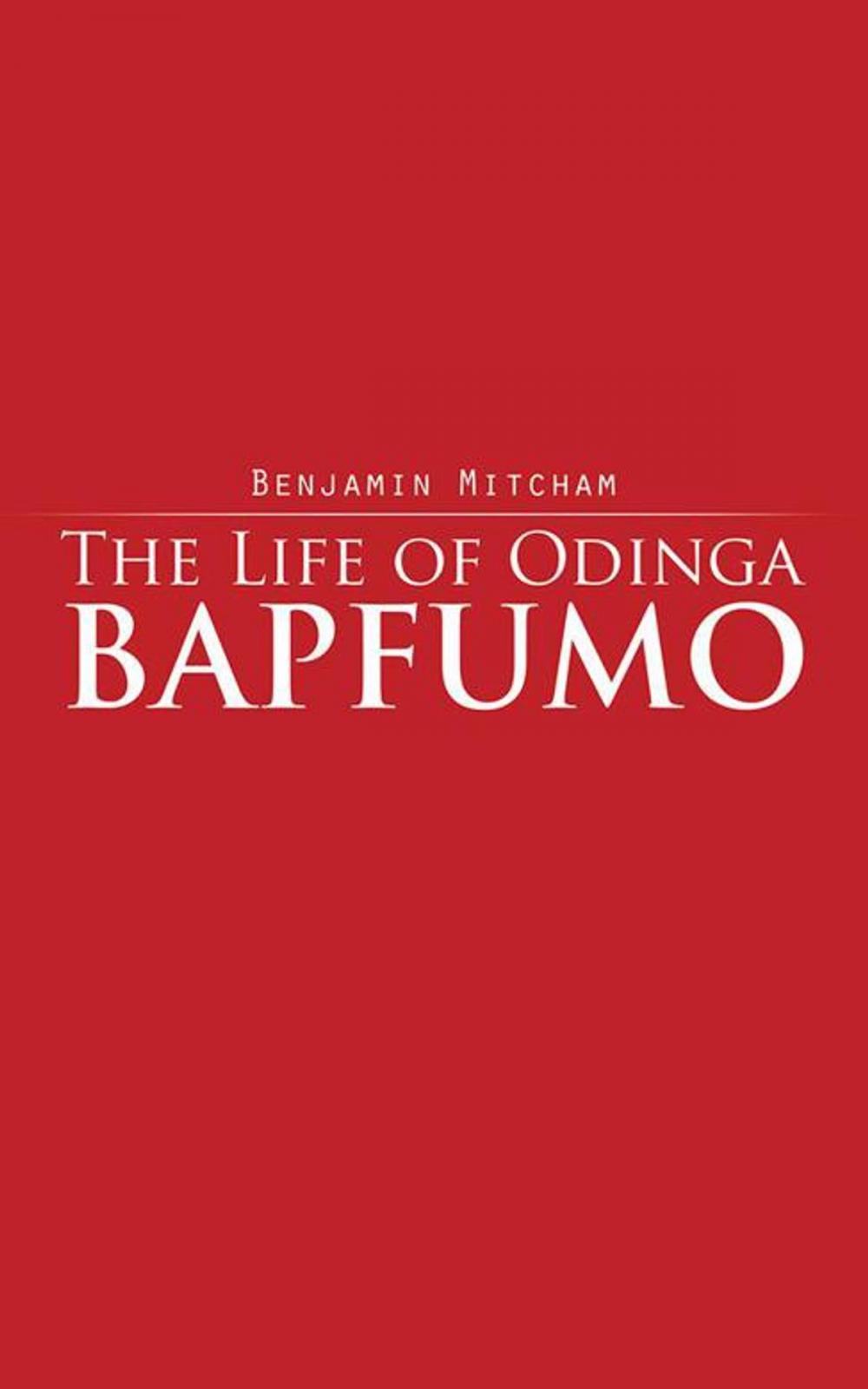 Big bigCover of The Life of Odinga Bapfumo