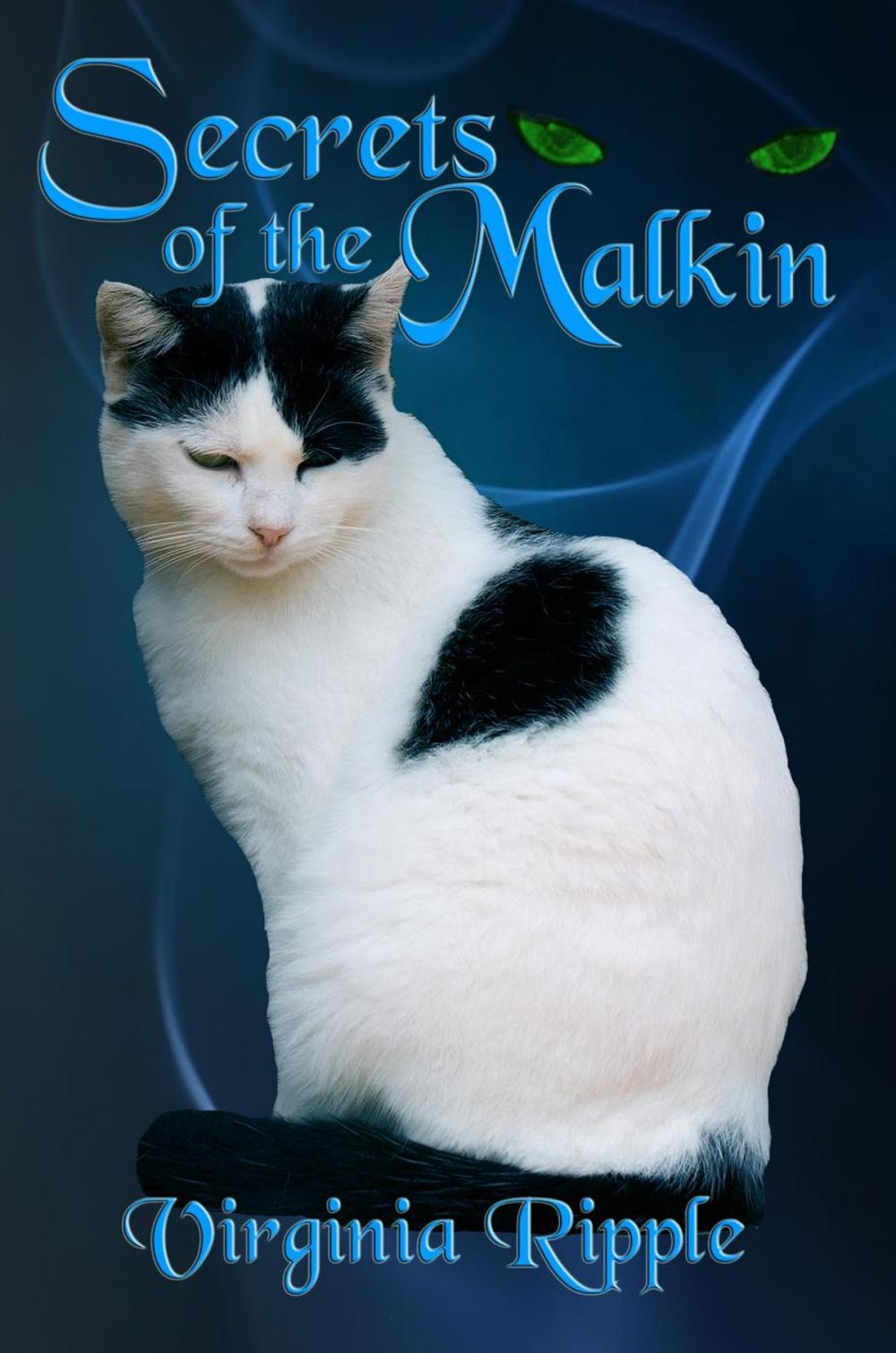 Big bigCover of Secrets of the Malkin