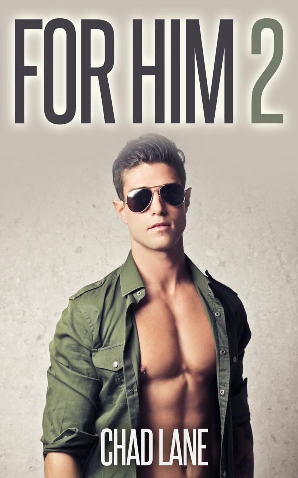Big bigCover of For Him 2 (Military Gay For You Romance)