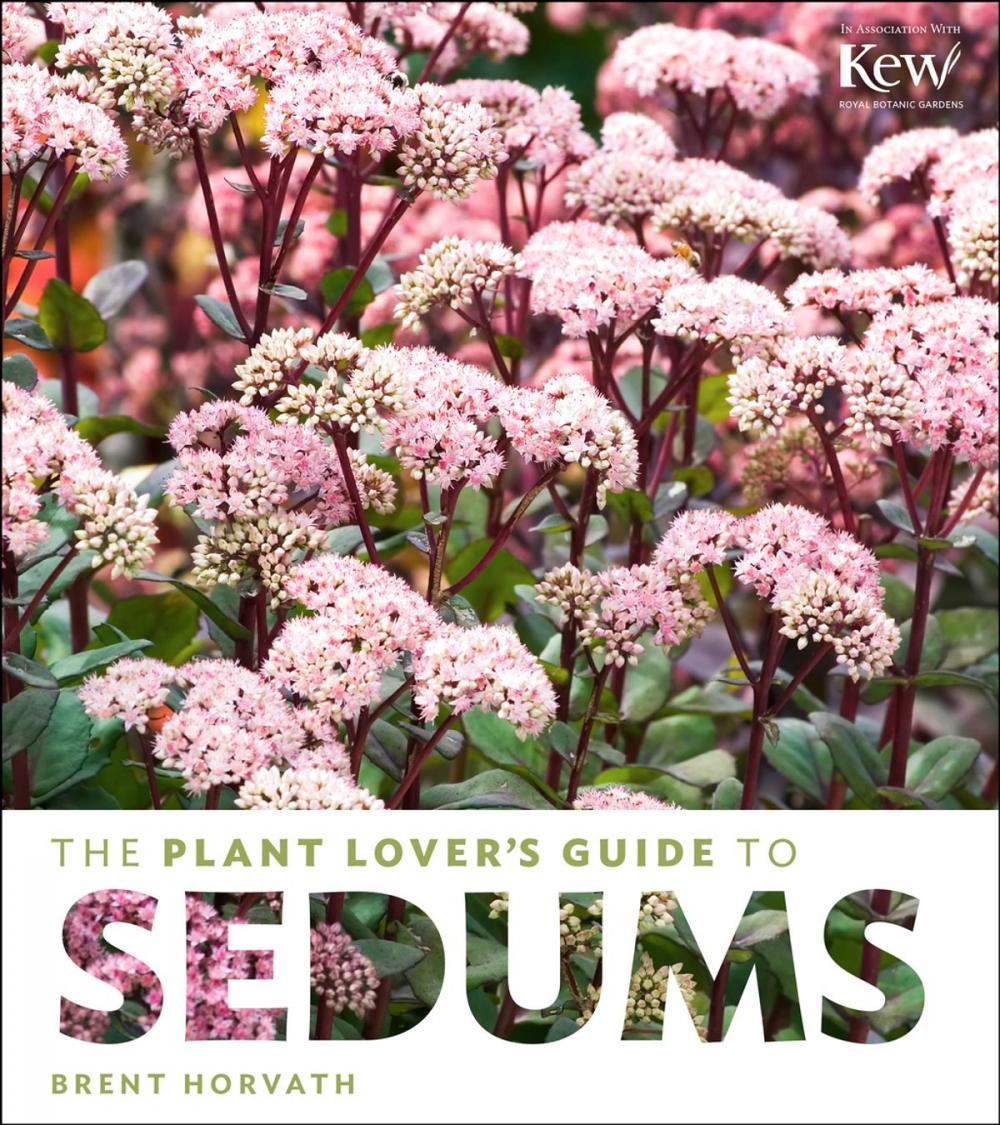 Big bigCover of The Plant Lover's Guide to Sedums
