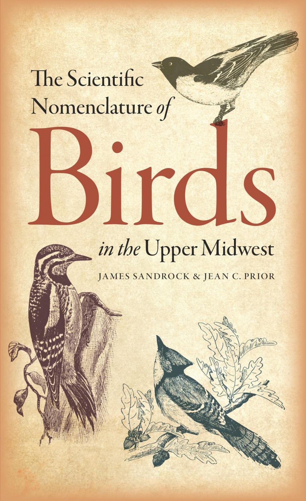 Big bigCover of The Scientific Nomenclature of Birds in the Upper Midwest