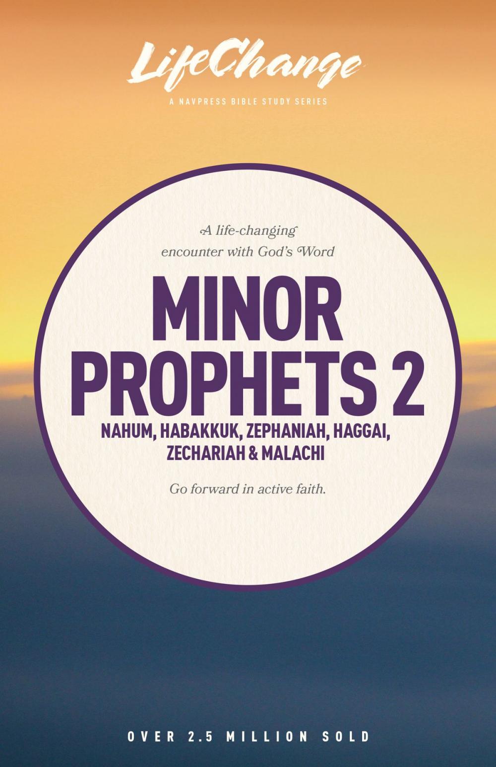 Big bigCover of Minor Prophets 2