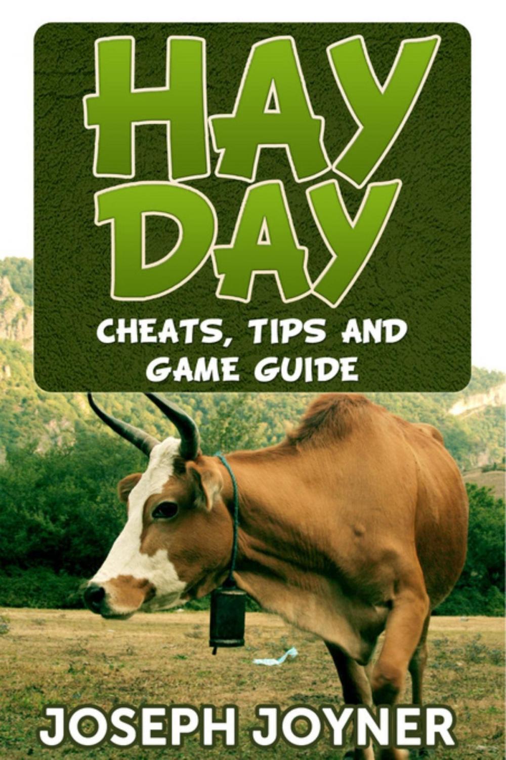 Big bigCover of Hay Day