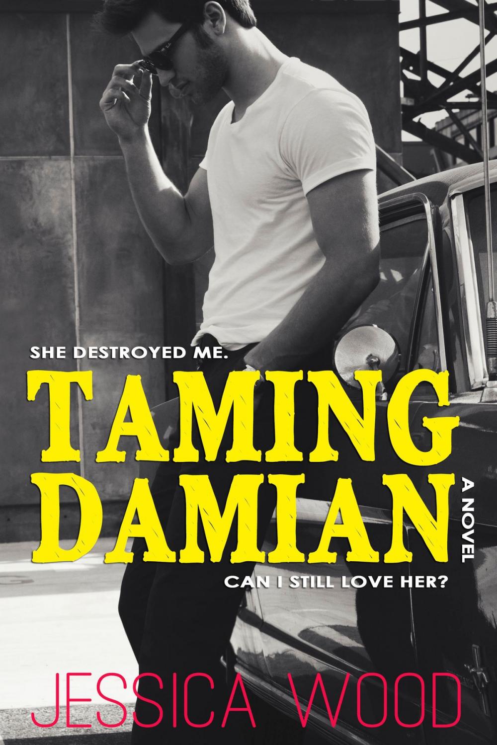 Big bigCover of Taming Damian