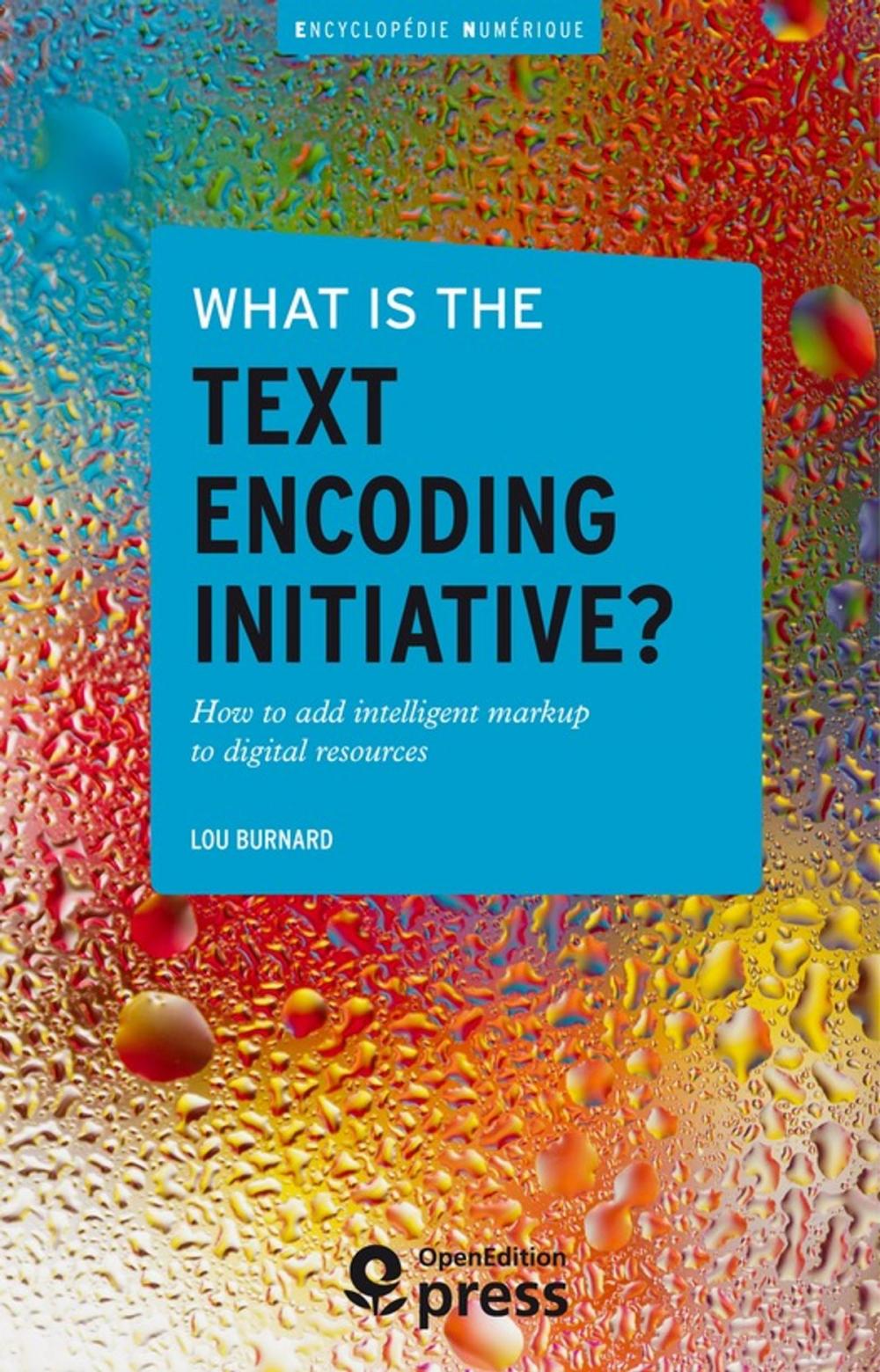 Big bigCover of What is the Text Encoding Initiative?