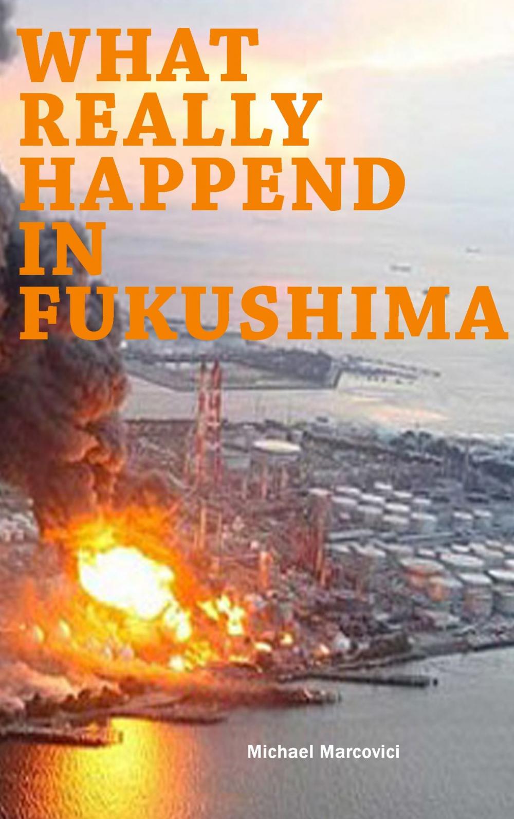 Big bigCover of What really happened in Fukushima