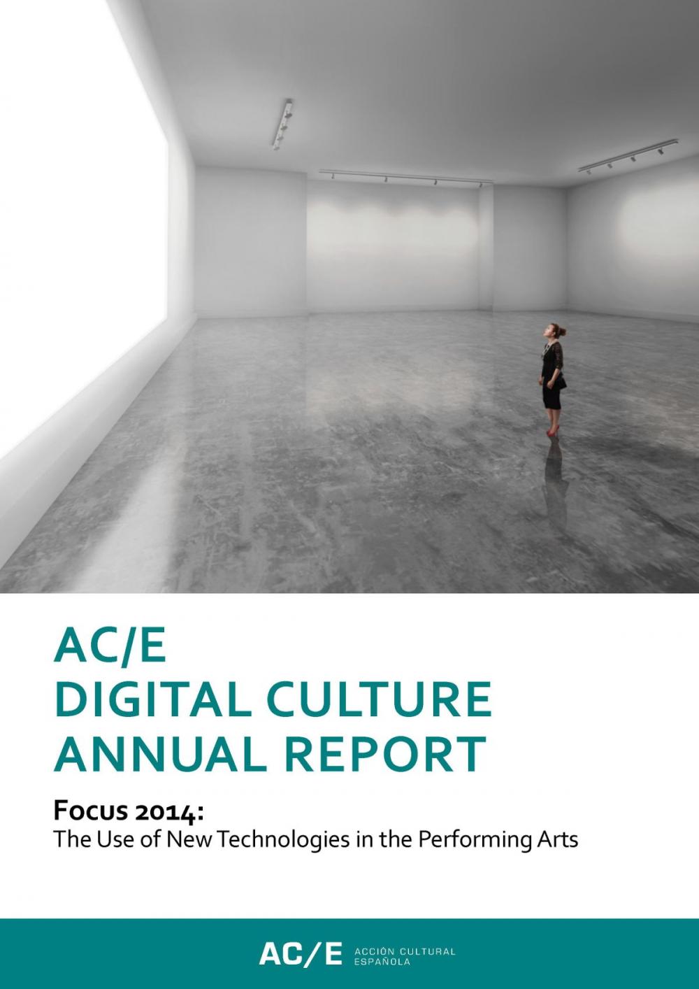 Big bigCover of AC/E Digital Culture Annual Report 2014