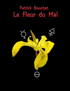 Book cover of La Fleur du Mal