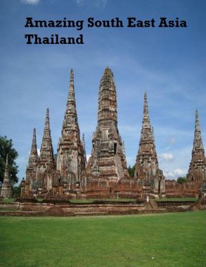 Cover of the book Amazing South East Asia: Thailand by V.T.