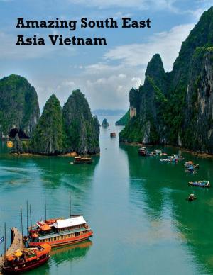 Cover of the book Amazing South East Asia: Vietnam by V.T.