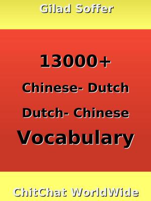 Cover of the book 13000+ Chinese - Dutch Dutch - Chinese Vocabulary by Gilad Soffer