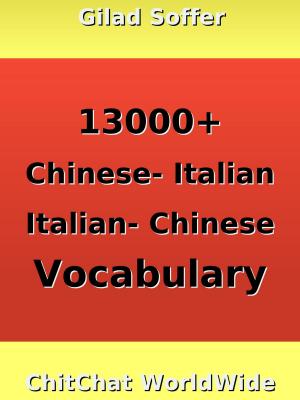 Cover of 13000+ Chinese - Italian Italian - Chinese Vocabulary