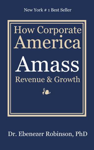 Cover of the book How Corporate America Amass Revenue & Growth by Haja Nirina