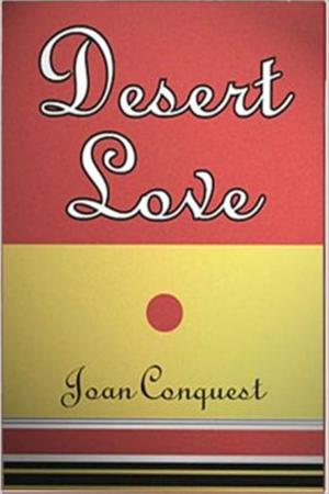 Cover of the book Desert Love by Emile Gaboriau
