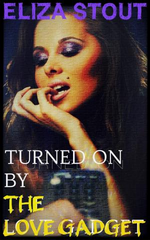 Book cover of Turned On by the Love Gadget
