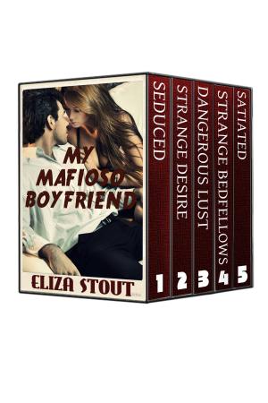 Cover of the book My Mafioso Boyfriend by Haley Gray
