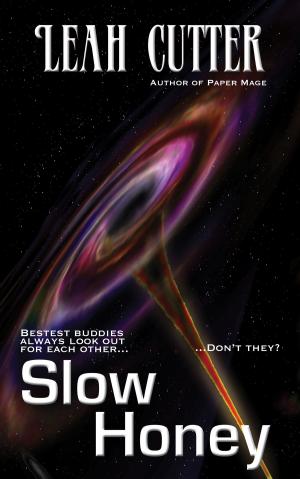 Book cover of Slow Honey