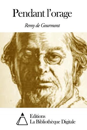 Cover of the book Pendant l’orage by Léon de Rosny