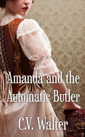 Book cover of Amanda and the Automatic Butler