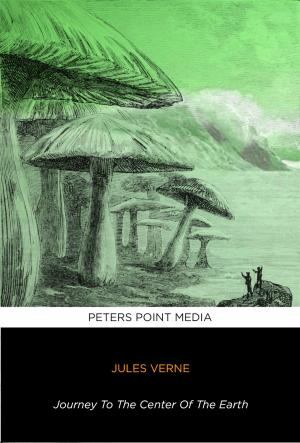 Book cover of Journey to the Centre of The Earth - Voyage au Centre de La Terre - Edition Bilingue - Anglais Francais - Bilingual Edition - French English