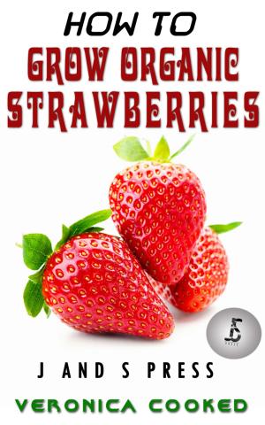 Cover of the book How To Grow Organic Strawberries by Shane Wolffe