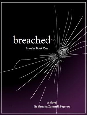 Cover of the book Breached by K. L. Stein