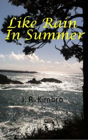Cover of the book Like Rain in Summer by Мария Парр