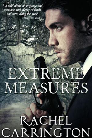 Cover of the book Extreme Measures by J. E. Laine