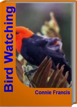 Cover of the book Bird Watching by Corette Brochu