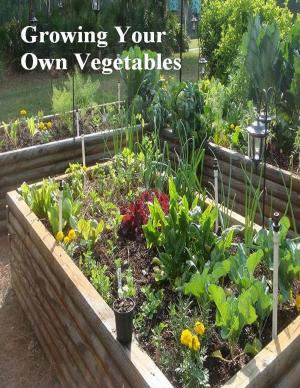 Cover of the book Growing Your Own Vegetables by V.T.