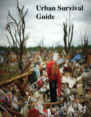 Cover of the book Urban Survival Guide by Melva Green, Lauren Rosenfeld