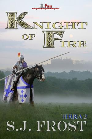 Cover of the book Knight Of Fire by T.A. Chase