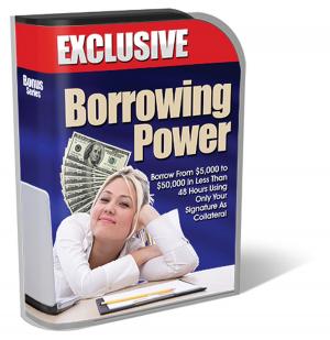 Cover of the book Borrowing Power by Anne Litwin