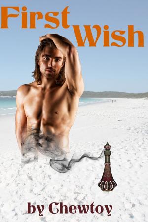 Book cover of First Wish