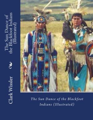 Book cover of THE SUN DANCE OF THE BLACKFOOT INDIANS
