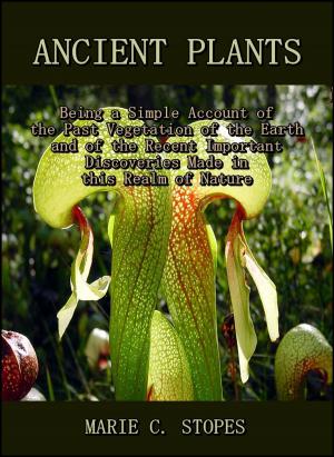 Book cover of Ancient Plants : Being a Simple Account of the Past Vegetation of the Earth and of the Recent Important Discoveries Made in this Realm of Nature