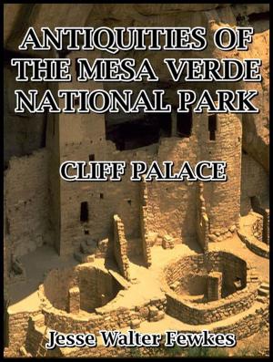 Cover of Antiquities of the Mesa Verde National Park : Cliff Palace