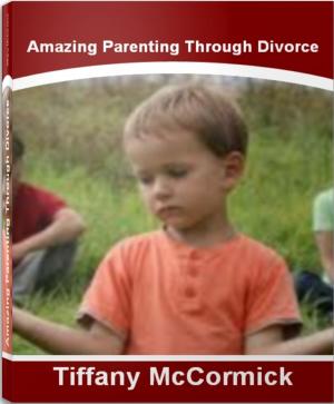 Cover of the book Amazing Parenting Through Divorce by Debra Snyder