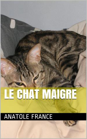 Cover of the book Le chat maigre by Eugène Delacroix