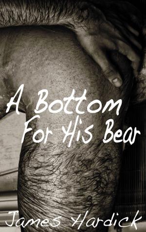 Cover of the book A Bottom For His Bear (Gay) by Anne Douglas Sedgwick