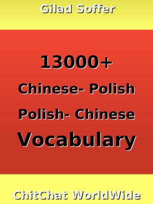 Book cover of 13000+ Chinese - Polish Polish - Chinese Vocabulary