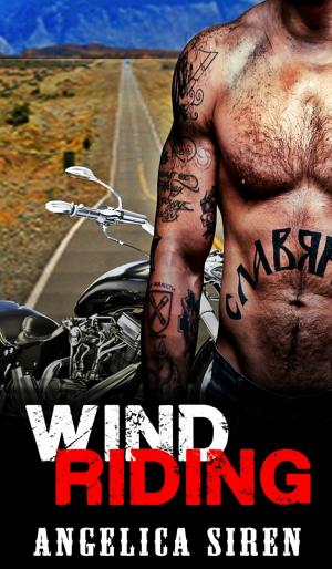 Cover of the book Wind Riding by Kimberly Stuart