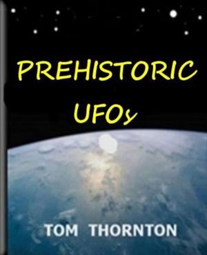 Book cover of PREHISTORIC UFOs