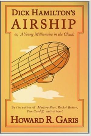 Cover of the book Dick Hamilton's Airship by Evelyn Raymond