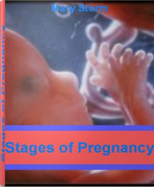 Cover of the book Stages of Pregnancy by Jan Delany