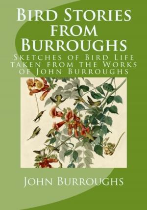 Cover of the book Bird Stories from Burroughs (Illustrated) by Alfred Russel Wallace